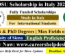 DSU Scholarship in Italy 2024 at University of Siena (Fully Funded)